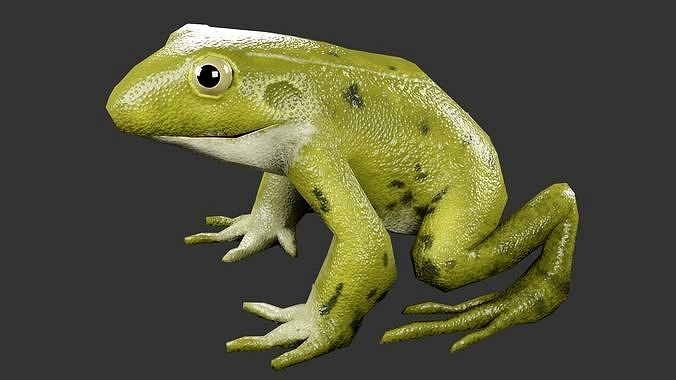 Low Poly Frog with Rigged