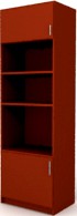 Shelf 3D Model