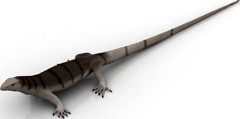 Lizard 3D Model