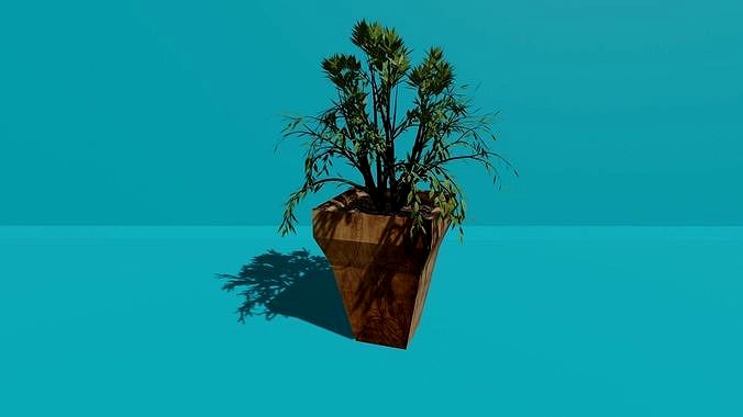 Plant Pot