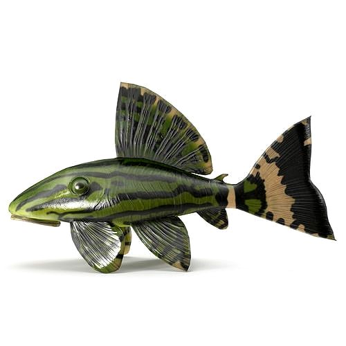 Catfish