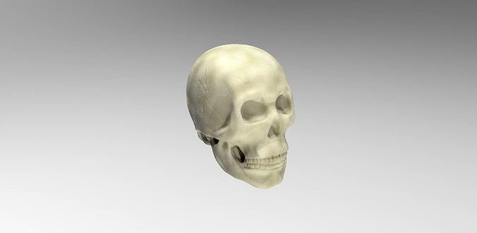 Scull