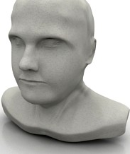 Bust 3D Model