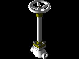 Globe Valve