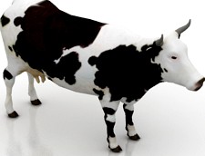 Cow 3D Model