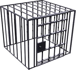 Cage 3D Model