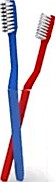 Brushes 3D Model
