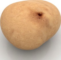 Potato 3D Model