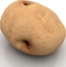 Potato 3D Model