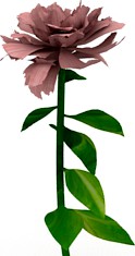 Flower 3D Model