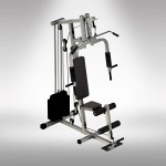 Multifunctional workout station