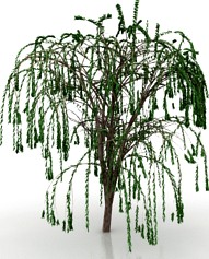 Tree 3D Model