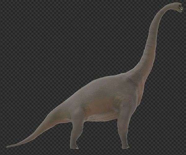 Brachiosaurus