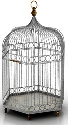 Cage 3D Model
