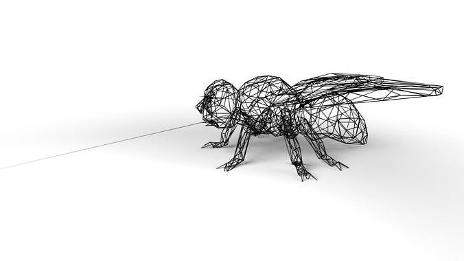 Fly Wireframe