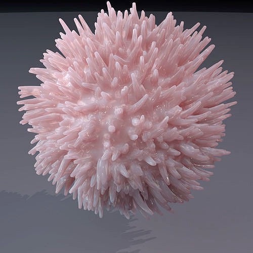 Lymphocyte