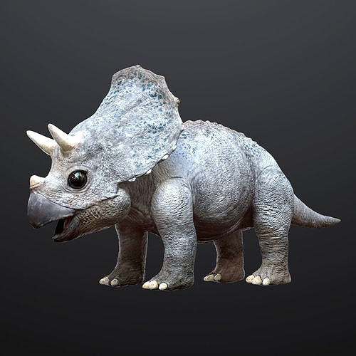 Triceratops Baby 3D Rigged model