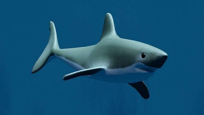 3D Shark Model - Rigged