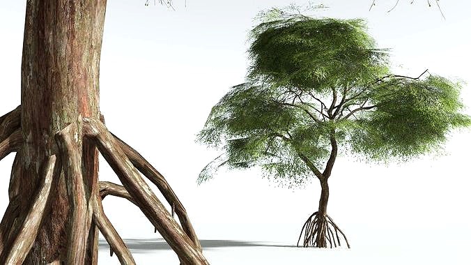 EVERYPlant Red Mangrove LowPoly 07 --12 Models--