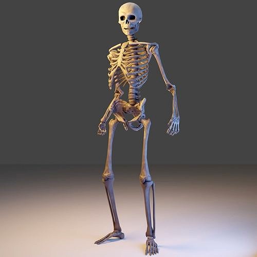 Skeleton Lowpoly 3D Model - Videogame Asset