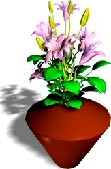 Lilies 3D Model