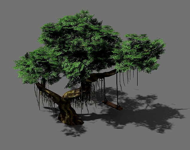 Fairy Trail-Banyan Tree 08