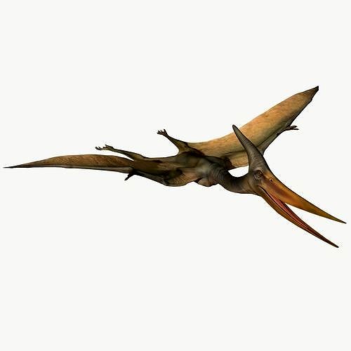 Pteranodon