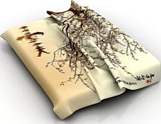 Veil 3D Model