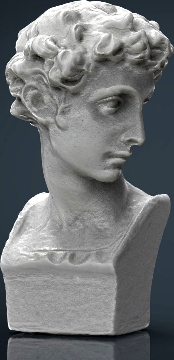 BUST 53d model