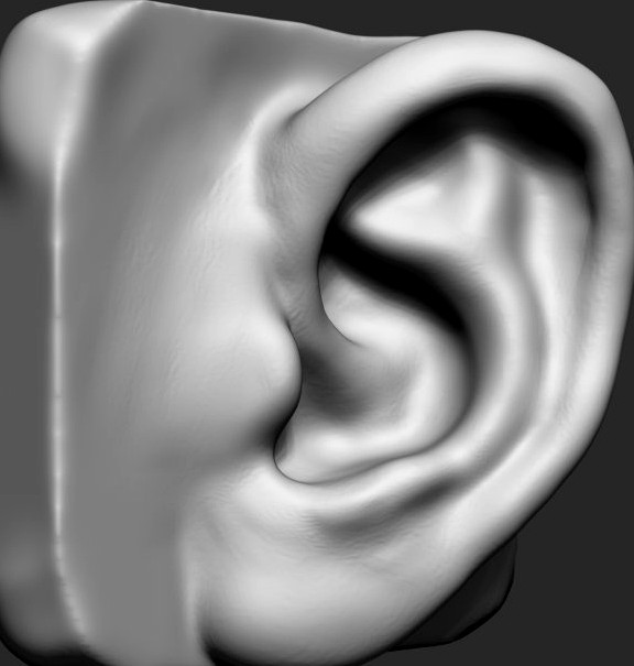 Ear3d model