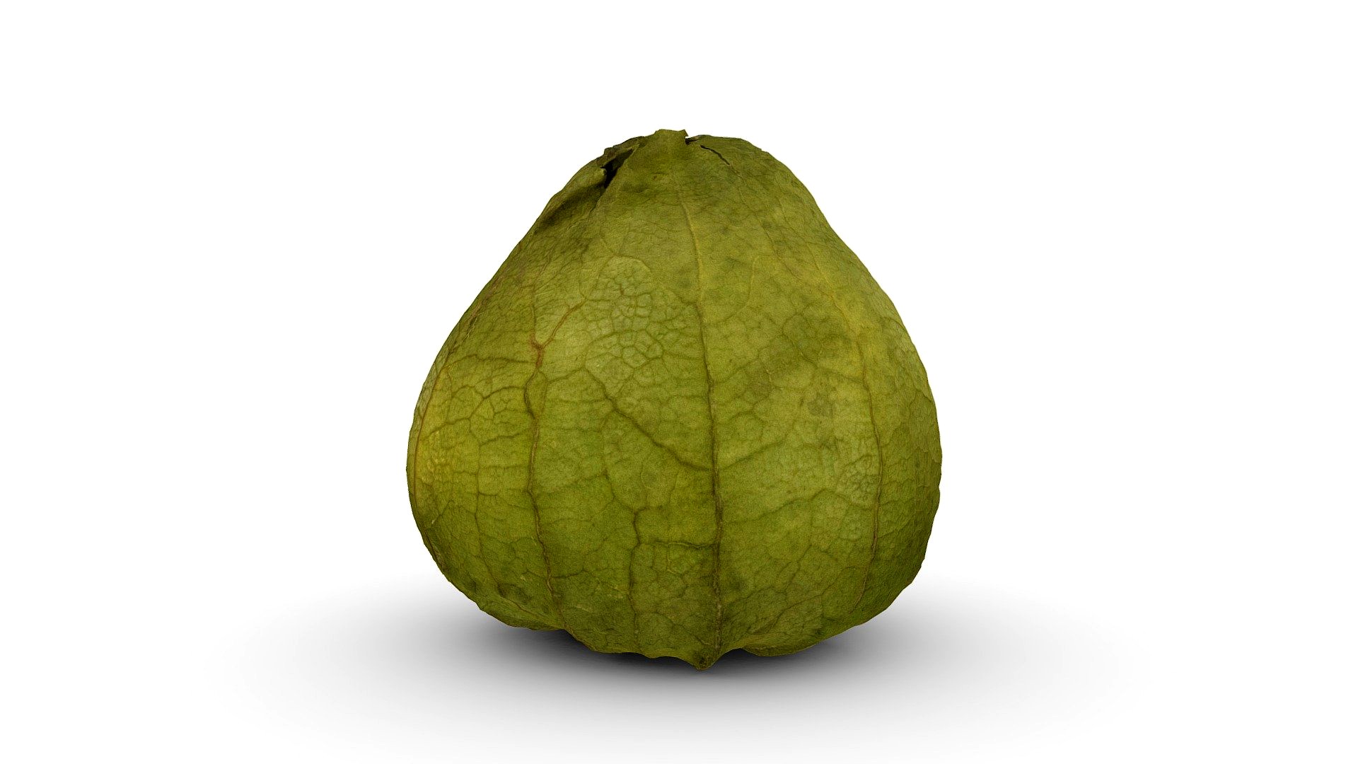 Tomatillo