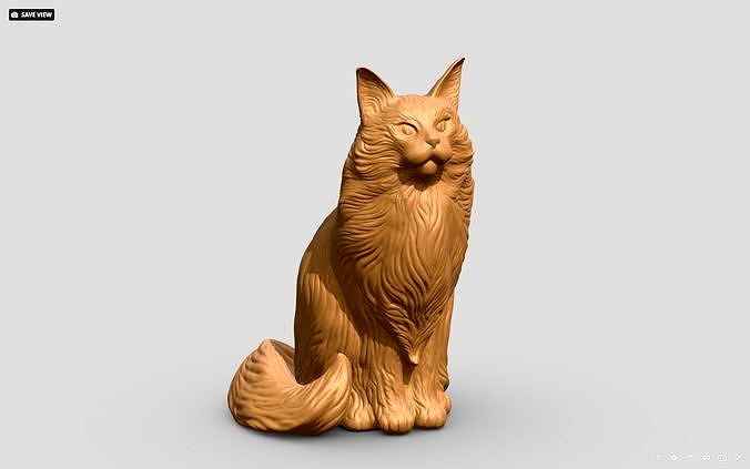 Cat Mainecoon 2 | 3D