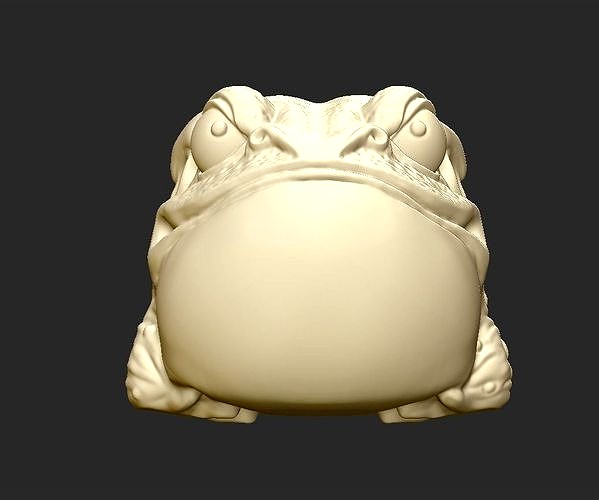 Angry Toad | 3D