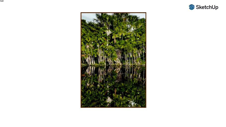 Quadro Salve a floresta
