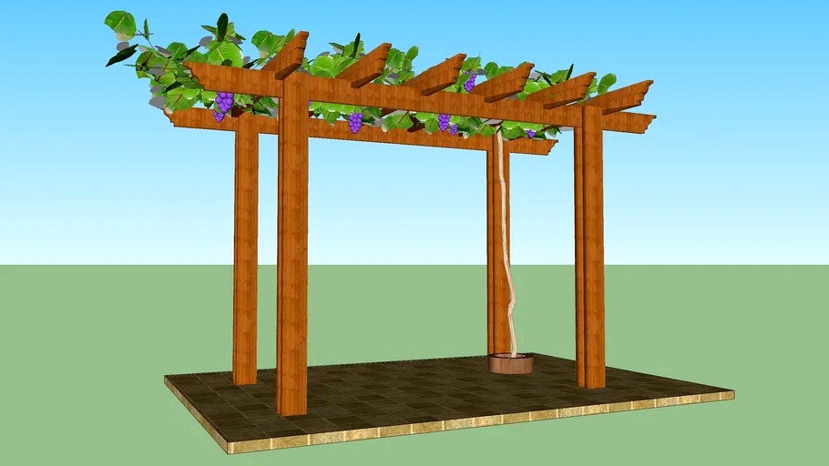 Grapevine