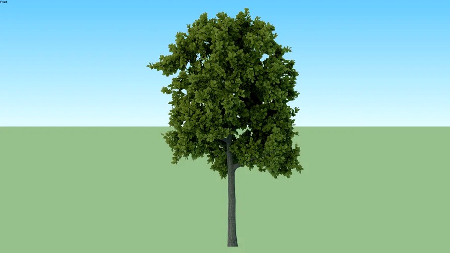 tree2
