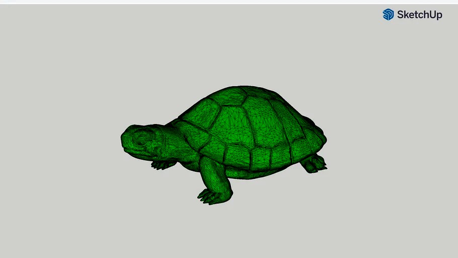 Turtle.