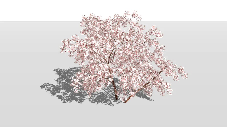 pink flower shrub