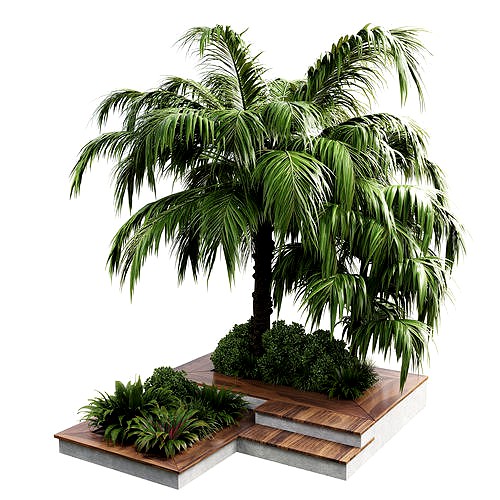 Outdoor plant  garden pot tree palm bush fern grass wood vase