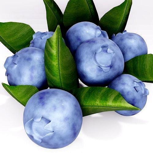 Blueberry