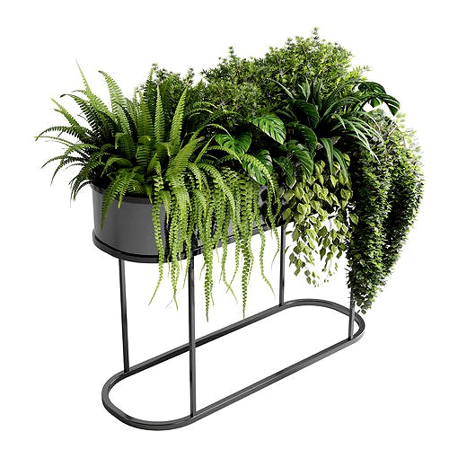 Indoor plant stand pot bax metal vase pot fern tree grass