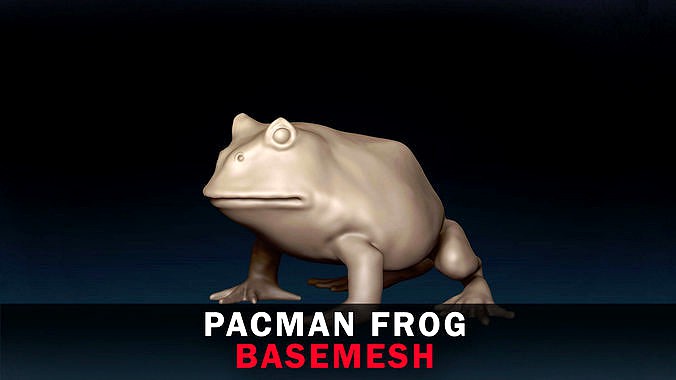 Pacman Frog Base Mesh 3d model