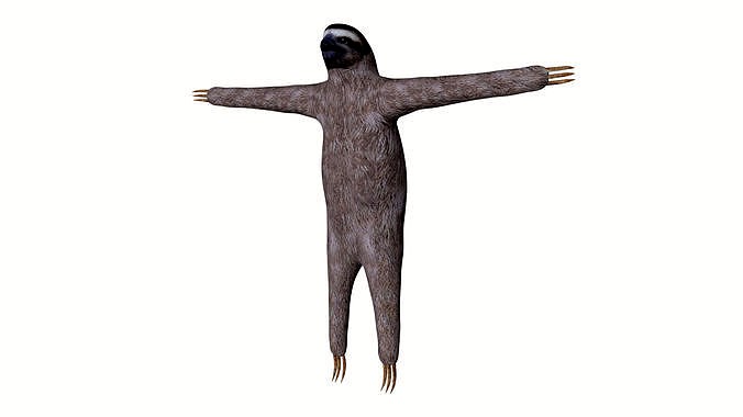 Sloth