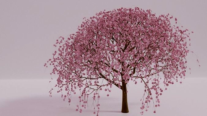 Beautiful Cherry Blossom Tree 3D Model