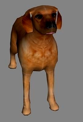 Dog 3d model