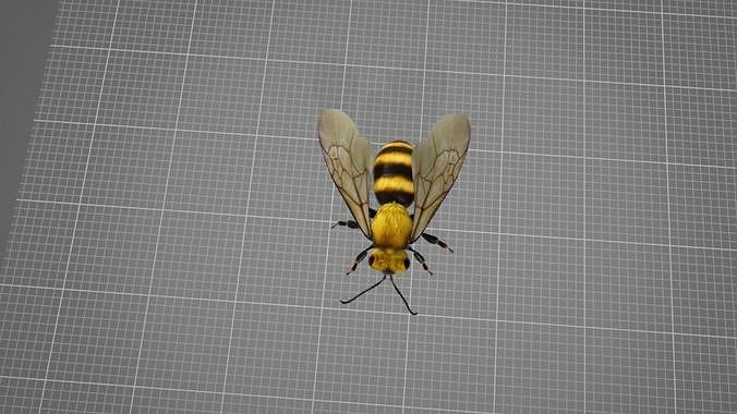 Honey Bee 3D Model