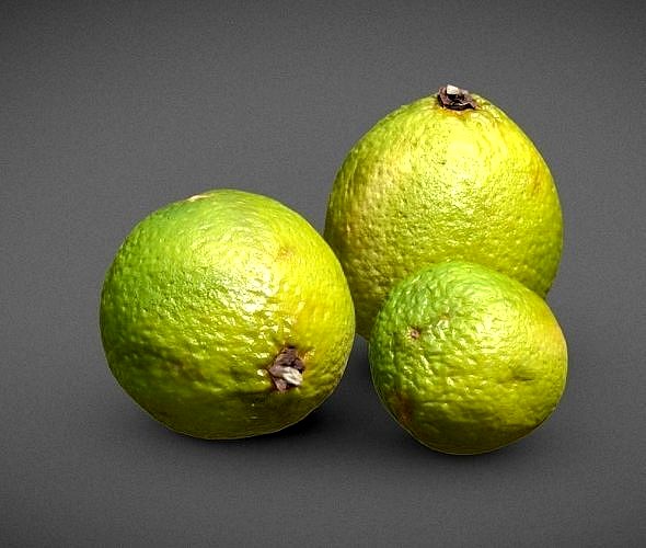 Lime 3D scan