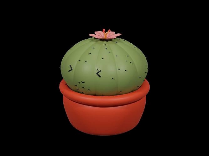 Cactus