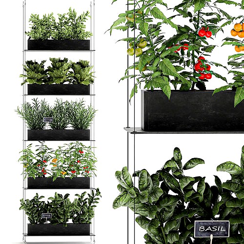 Vertical garden for the kitchen 68