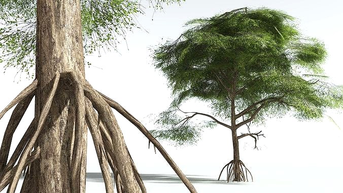EVERYPlant Red Mangrove LowPoly 02 --12 Models--